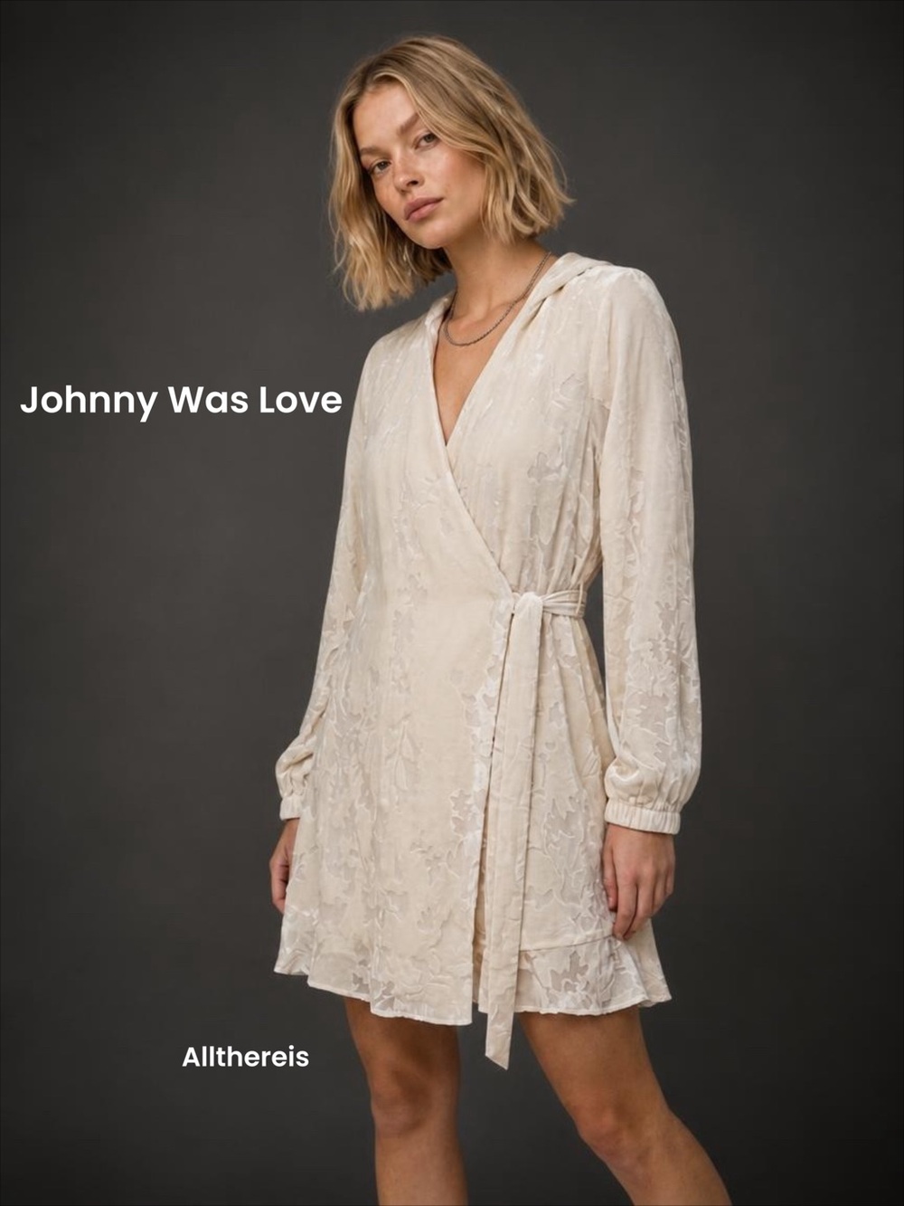 NWT Johnny Was Dress S